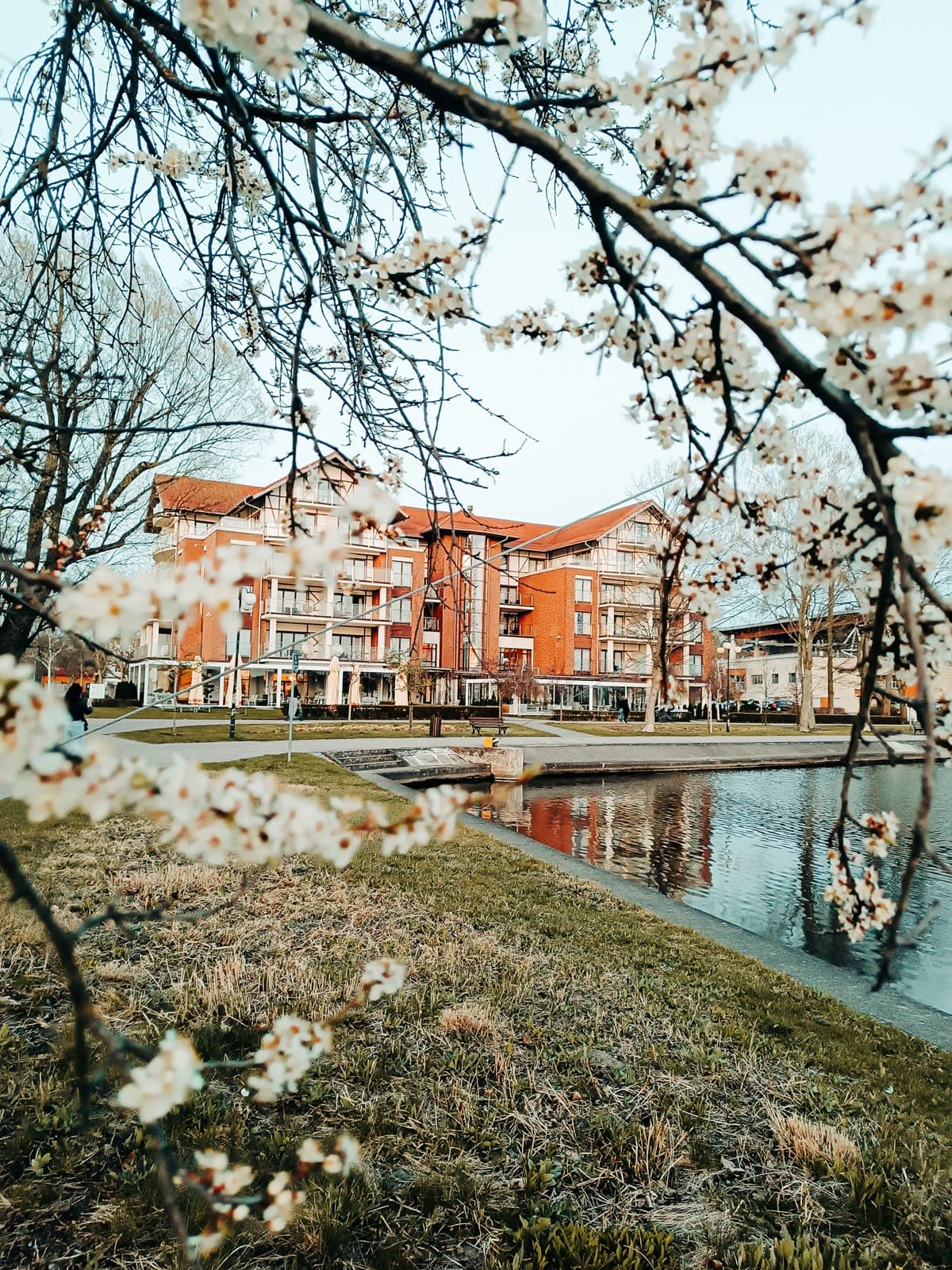 Pergola bioklimatyczna Tarasola — ochrona przed deszczem i regulacja światła